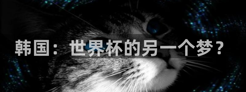 2006年世界杯冠军：韩国：世界杯的另一个梦？