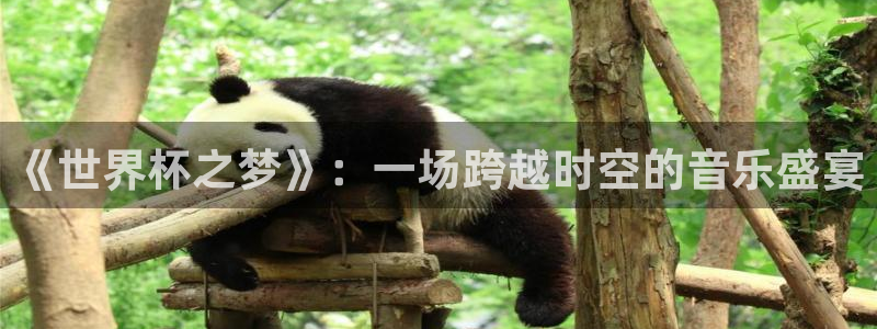 世界杯对阵表：《世界杯之梦》：一场跨越时空的音乐盛宴
