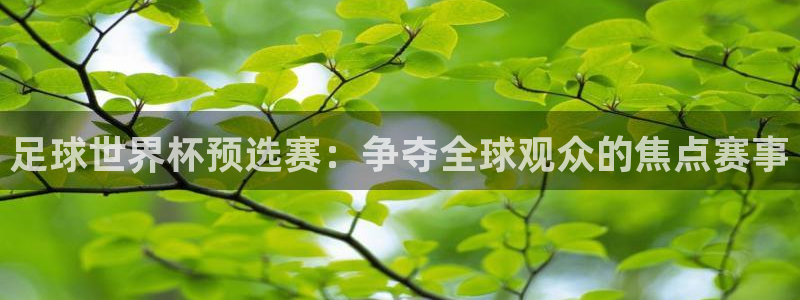 欧洲世界杯预选赛赛程：足球世界杯预选赛：争夺全球观众的焦点赛事