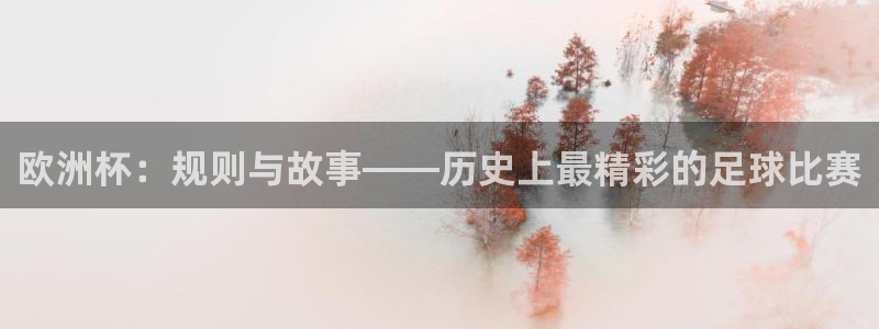 亚洲杯足球：欧洲杯：规则与故事——历史上最精彩的足球比赛