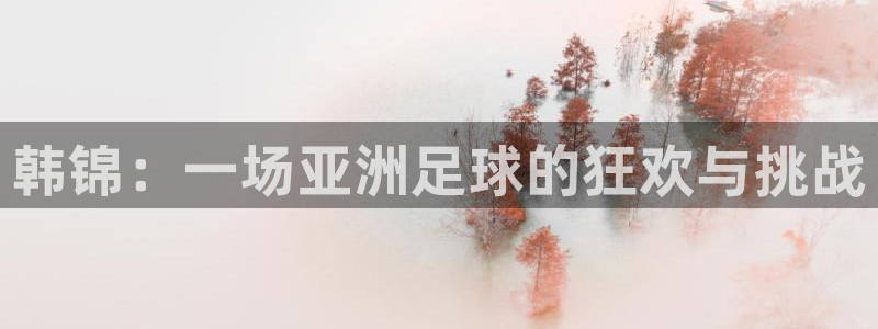 2026世界杯亚洲预选赛：韩锦：一场亚洲足球的狂欢与挑战