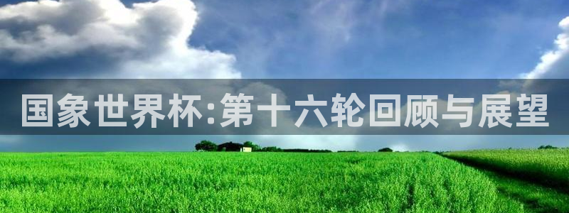 2026世界杯32强对阵图表：国象世界杯:第十六轮回顾与展望