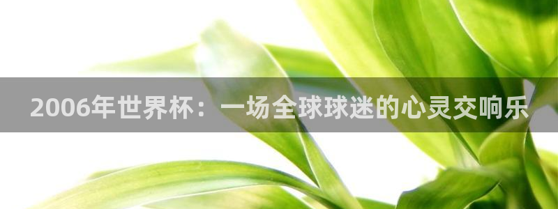 世界杯 2026：2006年世界杯：一场全球球迷的心灵交响乐