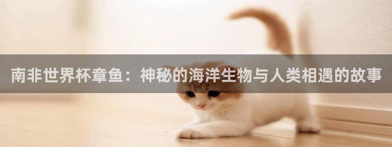 2026世亚预赛赛程表：南非世界杯章鱼：神秘的海洋生物与人类相遇的故事