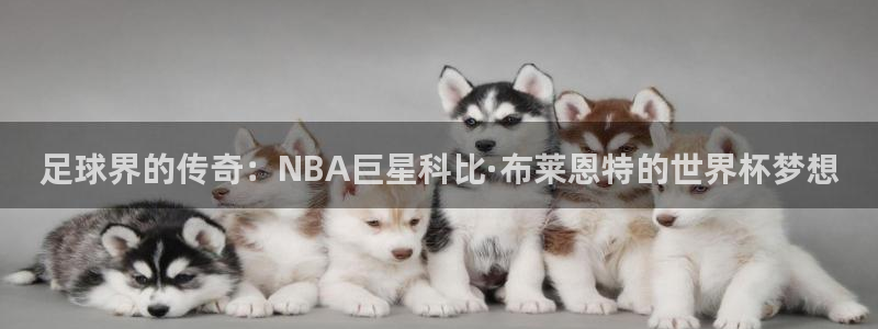 世界杯预选赛规则：足球界的传奇：NBA巨星科比·布莱恩特的世界杯梦想