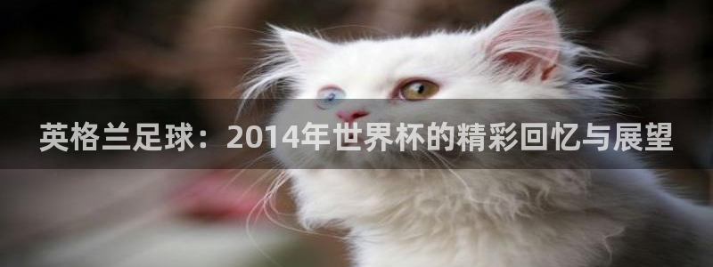 世界杯今日赛程直播：英格兰足球：2014年世界杯的精彩回忆与展望