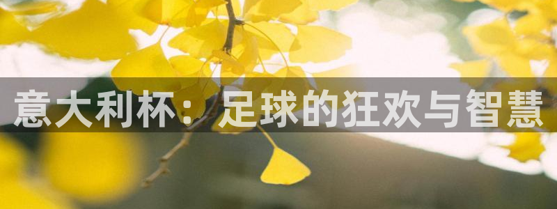 世界杯直播在线观看入口：意大利杯：足球的狂欢与智慧