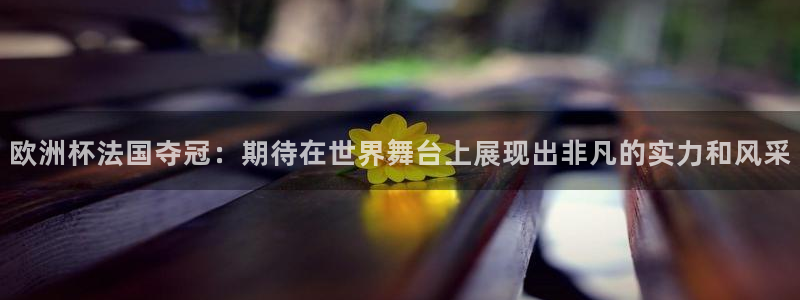 女足世界杯直播在线观看免费高清：欧洲杯法国夺冠：期待在世界舞台上展现出非凡的实力和风采