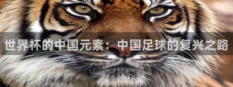 2026足球世界杯赛程时间表：世界杯的中国元素：中国足球的复兴之路