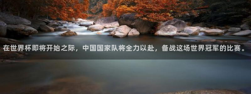 世界杯足球直播：在世界杯即将开始之际，中国国家队将全力以赴，备战这场世界冠军的比赛。