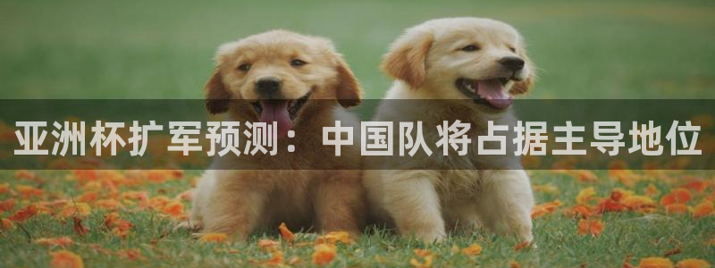世界杯决赛预测：亚洲杯扩军预测：中国队将占据主导地位