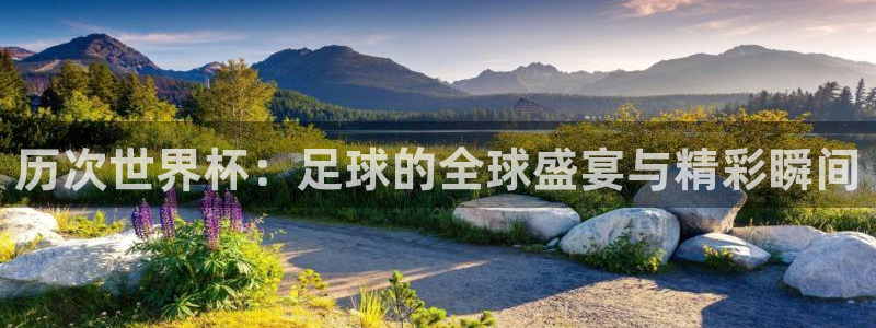 世界杯2026赛程表：历次世界杯：足球的全球盛宴与精彩瞬间
