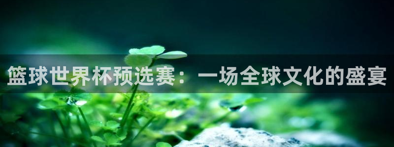 联赛杯直播：篮球世界杯预选赛：一场全球文化的盛宴