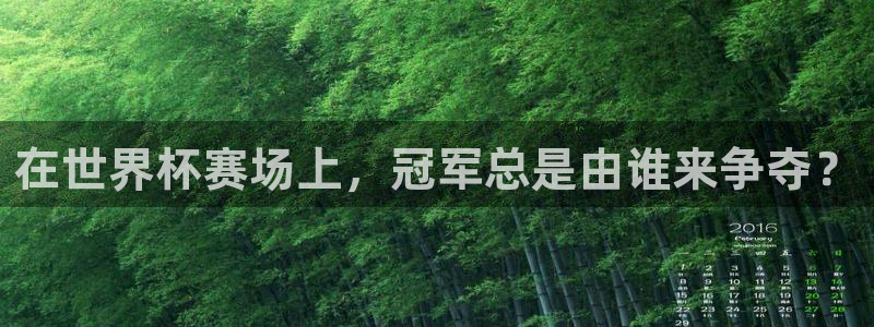2026世界杯预选赛：在世界杯赛场上，冠军总是由谁来争夺？