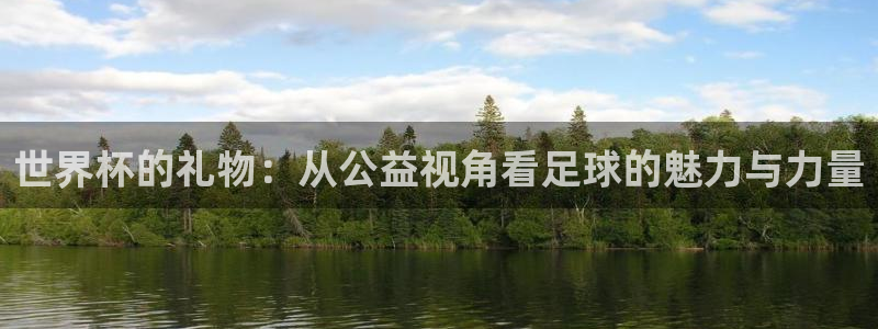 世界杯预选赛欧洲区赛程：世界杯的礼物：从公益视角看足球的魅力与力量