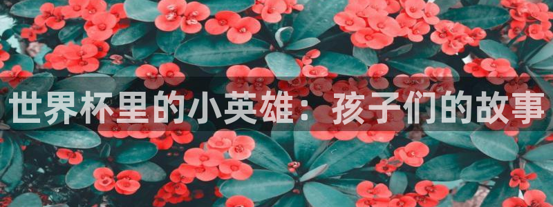 男足世界杯预选赛赛程：世界杯里的小英雄：孩子们的故事